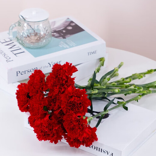 Floral Sentences: Carnation Flowers, Water-grown Flower Arrangements, Multi-varieties Mixed and Matched Bouquets, Daily Vase Arrangements, Fresh Cut Flowers for Gifts, 10 Red Carnations, Choose 2 Pieces or More to Upgrade to SF Express/JD.com