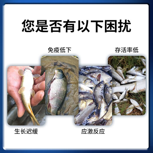 Vino fish uses high-dimensional multivitamin premix to supplement nutrition, induce food, promote growth and stress aquatic feed addition 5kg/box mail