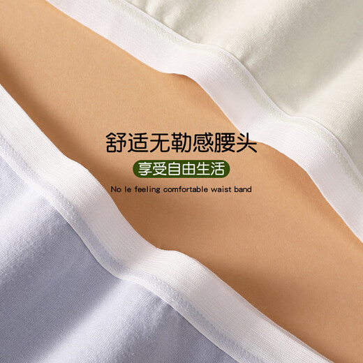 Fentenkoan [Antibacterial 5A] 2025 Nuevo ropa interior Pure Cotton de algodón Pure Antibacterial Rear Brazo de ropa interior para mujeres 6 pares Yr Pink Purple Blanco Blanco Verde Tono Negro 6 L [recomendado 95-105Jin [Jin equivale a 0.5 kg]]]