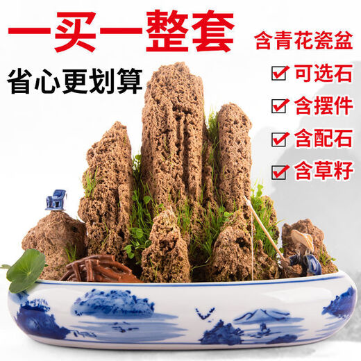 Water-absorbing stone Natural water-absorbing stone bonsai original stone Water-absorbing stone rockery stone flowing water fountain fish tank stone landscaping stone installation Only buy stones (free grass seeds with stones) 10-14cm water-absorbing stone