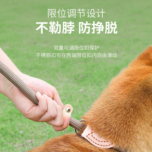 Gasco pet P chain size M dog leash dog leash collar small and medium-sized dogs dog out walking training dog belt