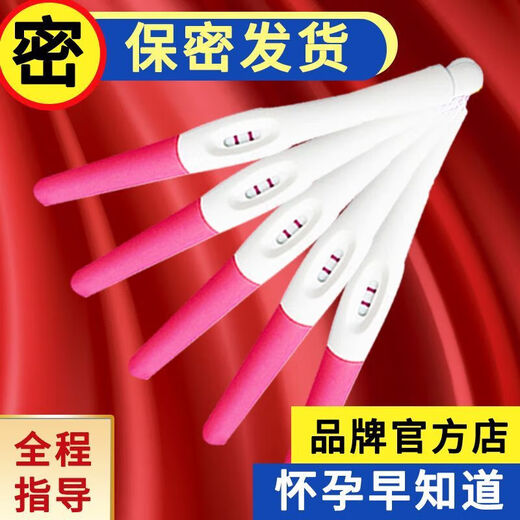 General Electric (GE) Pregnancy Test Stick Early Pregnancy Test Paper Test Card HCG Disposable Accurate High-Precision Early Pregnancy Test Medical 3 Pregnancy Test Sticks + 3 Early Pregnancy Test Papers Comes with Matching Urine Cup