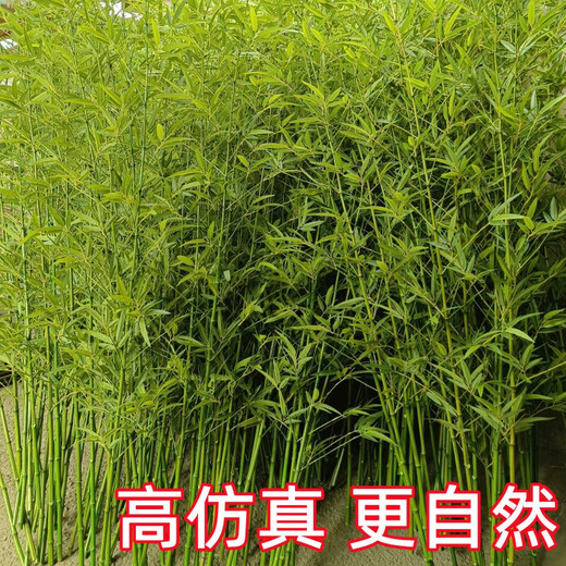 Linpan simulated bamboo outdoor decoration fake bamboo simulated plant landscaping bionic bamboo outdoor green plants 1.6 meters high 50 roots