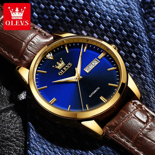 Olevs Swiss Certified Brand Watch Men's Mechanical Watch Men's Uhr
