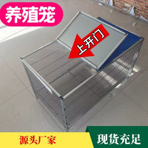 养殖兔笼鸭鹅育雏笼大型户外特密防黄鼠狼养鸡笼子加密鸽子笼鹌鹑 15862门特密0点9cc防鼠笼子