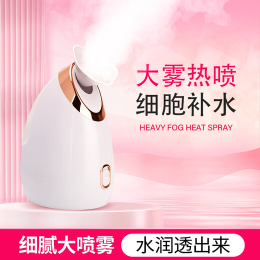 Hot spray facial steamer to hydrate and moisturize, household facial steamer, beauty instrument, delicate spray machine, facial humidifier, nano spray to hydrate, girlfriend and elders Christmas gift 904 red