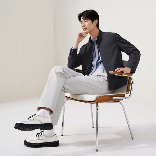 Qipai Men's Stand Collar Jacket Men's 2025 Autumn and Winter New Business Casual Jacket Dad Anti-Wrinkle Men's Spring and Autumn Jacket Navy Blue L (175)