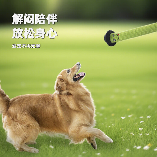 HOUYA dog pet toy is sound-resistant, bite-resistant, and can be played with to relieve boredom. It is interactive for large dogs and small dogs.