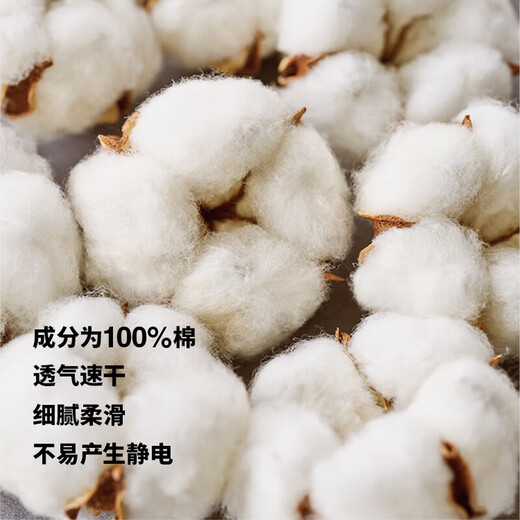 MUJI Women's Thick Cotton High Collar Long Sleeve T-Shirt Tops Bottoming Shirt Women's Style Fall 25 FCD15C5A Off-White M (160/84A)