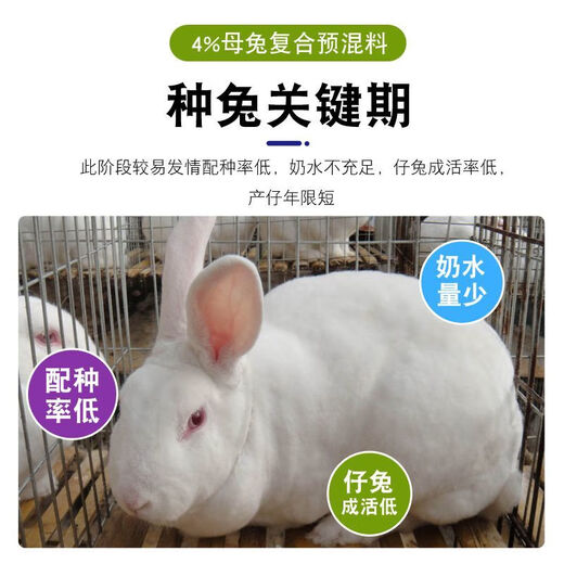 Sino-US Puke 4% rabbit premix rabbit premix baby rabbit meat rabbit fattening rabbit feed female rabbit premix veterinary 4% rabbit universal premix (4Jin Jin equals 0.5kg)