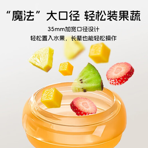 Ozan Ancosu Newborn Baby Bites, Fruit and Vegetables, Fruit Complementary Food, Bites, Cat Claw Shape Fruit Supplement, Cat Claws, Nibbles (Small Size) + Storage Box, 1 Pack