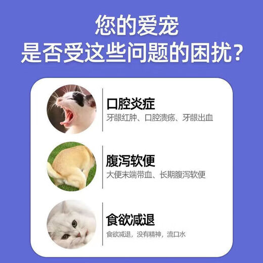 Pet Metronidazole Tablets, Dog Stomatitis, Cat Bad Breath, Toothache, Periodontitis, Oral Ulcer, Red and Swollen Gums, Anaerobic Infection, Antiprotozoal Disease, Canine Giardiasis, Metronidazole Tablets, Pet Stomatitis, 2 Bottles