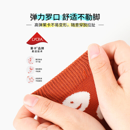 斑比童袜2025女童袜子秋冬季棉袜中大童无骨宝宝春秋款儿童中筒袜 BB2575 秋冬款儿童袜子 5双 8-11岁 建议脚码33-37码【20-22】