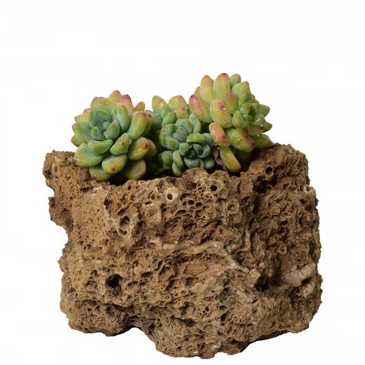 High-quality water stone bonsai rockery absorbent stone decoration natural water rust stone 10-14cm comes with grass seeds and about 15cm comes with grass seeds and stones