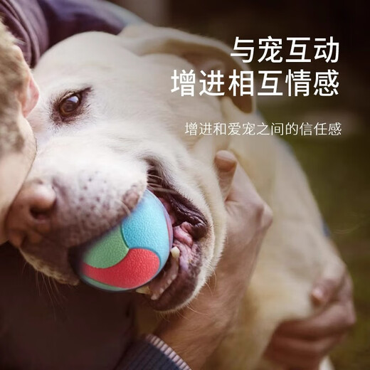 Jingdong Express Dog and Cat Toy Bite-Resistant Bouncy Ball Self-Happiness and Boredom Relief Training Interactive Ball Pet Toy - Bouncy Ball - 5.5cm - 1