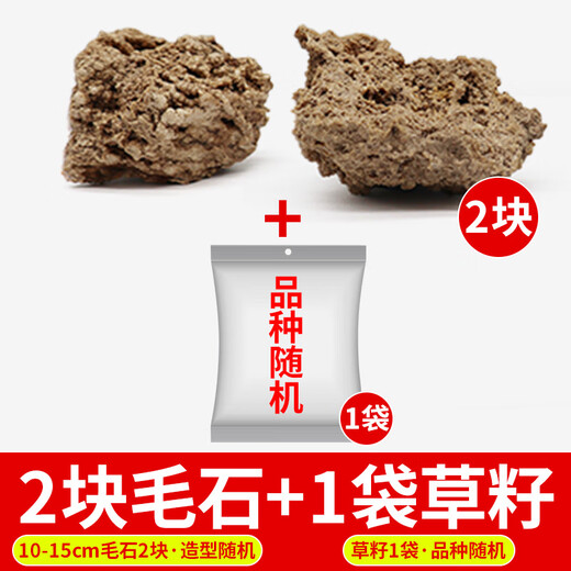 Water-absorbing stone rockery bonsai water-absorbing stone rockery bonsai natural raw stone landscaping small ornaments ornamental stone rough stone two pieces of grass seeds a pack