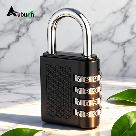 AUBURN large password lock padlock indoor and outdoor door lock password padlock warehouse door lock metal lock 304A black