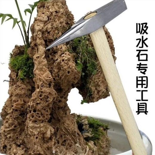 Water-absorbing stone, water-absorbing stone, rockery bonsai raw material, rough stone, special chisel, landscape bonsai DIY carving pick, moss for 1 box, grass seeds for 25 grams