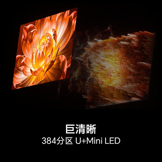Hisense TV 100E3Q Pro 100 inches 384 partition U+MiniLED anti-light soft light anti-glare screen 288Hz high brush Dolby Atmos corporate subsidy 98/100 100 inches