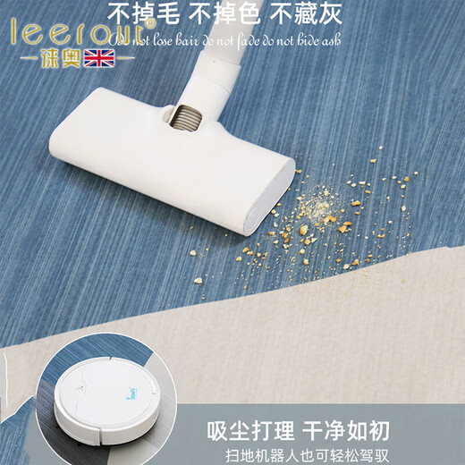 徕奥leerout客厅地毯免洗可擦沙发地垫大面积全铺房间高级感家用防水 简约13567号 300cm*200cm （耐磨耐用）