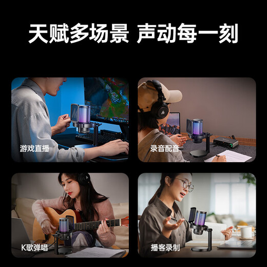 Maono computer microphone game live recording microphone noise reduction usb mobile phone desktop notebook radio microphone online class karaoke DM20 wired condenser microphone DM20 black (disc style)