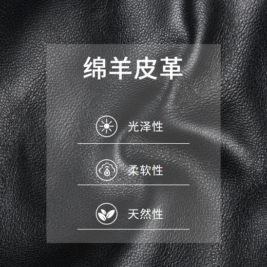 Radibol leather jacket for men spring and summer new style embossed LOGO sheepskin baseball collar men's leather jacket, brown XS 160_44_