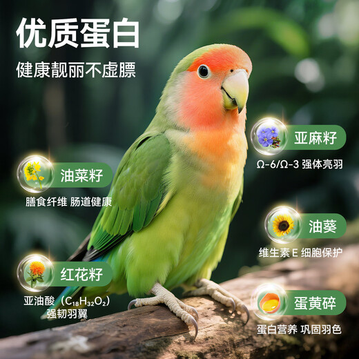 Qi Oh parrot bird food bird food seed food peony tiger skin black phoenix special nutritional mixed food for small and medium-sized parrots full price small and medium-sized parrot food one pack (454g)