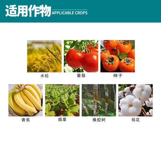 Huayi Shanghai Feiling 40% Ethephon Tomato Cotton Persimmon Banana Ripening Agent Tobacco Growth Regulator Genuine 350g