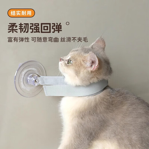 Pet bath retainer for nail clipping, shaving, anti-scratch and bite, anti-run cat bathing artifact, fixed suction cup, anti-escaping Pet bath retainer - black - 1 piece