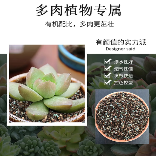 Succulent soil special nutritional soil fleshy granular soil plant planting soil paving stone leaf insert household peat soil large bag 30% granular succulent soil 10Jin Jin is equal to 0.5 kg