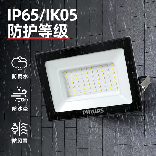 Philips (PHILIPS) high power LED floodlight 100W waterproof IP65 outdoor outdoor floodlight factory factory courtyard lighting billboard projection light white light 6500K