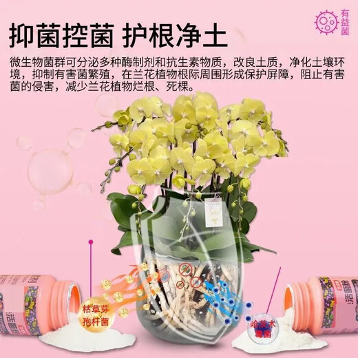 Special fungi for flowers, microbial inoculant, root strengthening, root root prevention, root rot prevention, water-soluble fertilizer, orchid bacteria powder, fertilizer, plant live bacteria powder, plant live bacteria powder 250g, basic version, 2 bottles, 99% of people choose