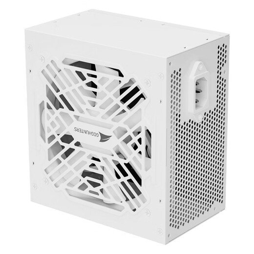 长城（Great Wall）额定850W P8白色铜牌直出线电源（ATX3.1/原生12V-2x6/单路12V/全电压/12CM风扇/支持5080显卡）