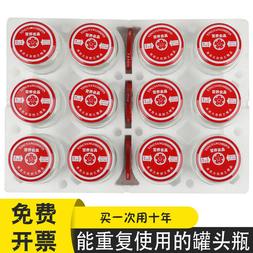 Food-grade glass bottle for canned yellow peach, glass bottle for tomato paste, glass bottle that is resistant to high temperatures and can be steamed, 500g, 12 empty bottles with lids + 3 spare lids included