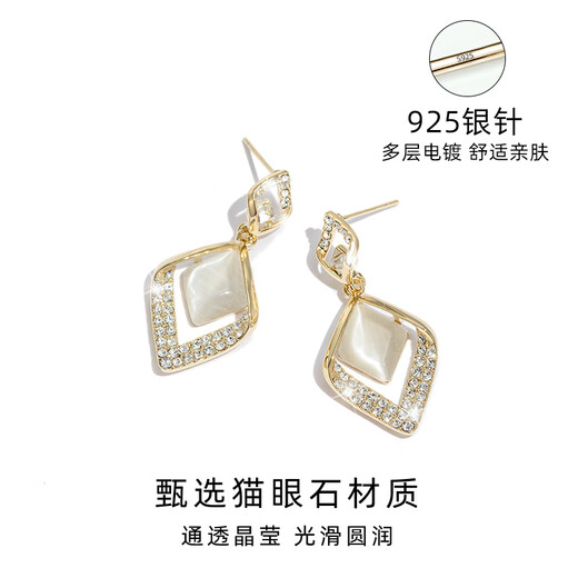 Yalundi's unique silver earrings, earrings, earrings, ear clips, women's niche design earrings 2025 new hot style, high-end