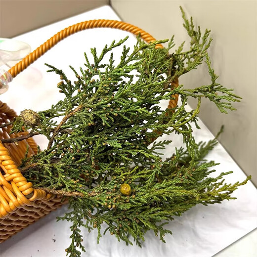 Tibetan Hair Straightening Authentic Plateau Tibetan Cedar Branches and Leaves as Crystal House Purifiers to Remove Pollution and Purify the Air Wild Tibetan Cedar Half Jin Jin is equal to 0.5 kg