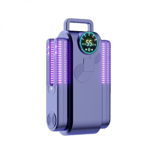 Ultraviolet disinfection lamp shoe dryer for shoes, wet and dry shoe dryer, deodorizing household dryer, student drying shoes, 4-core square and round shoe dryer blue (220V)