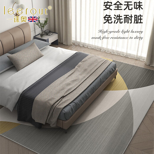 徕奥leerout客厅地毯免洗可擦沙发地垫大面积全铺房间高级感家用防水 简约13567号 300cm*200cm （耐磨耐用）