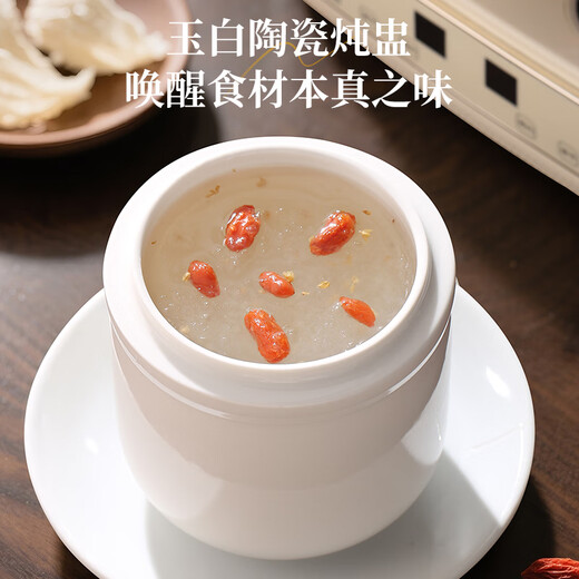 CHIGO double-oven health pot, tea maker, stewing, integrated bird's nest stew pot, water-proof stew health cup, office small souvenir for one person, souvenir gift, birthday gift, health pot 0.8L +0.5L ceramic stew pot, gift for good-looking girls