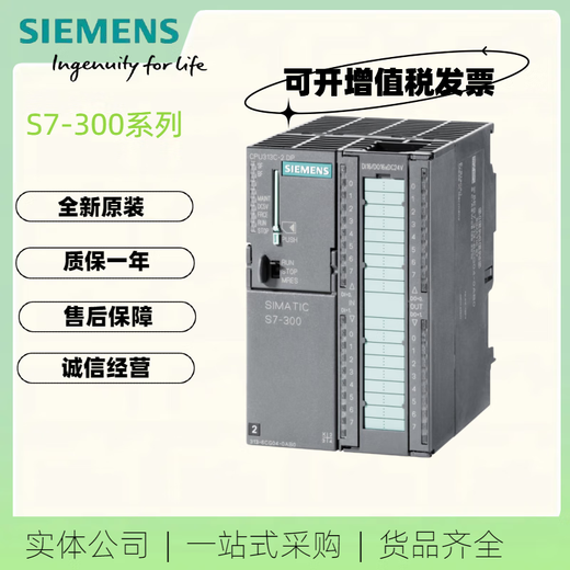 Siemens 313CPU6ES7313-5BF03/5BG04/6BG04-0AB0 /2NP/DP host 6ES7313-5BG04-0AB0