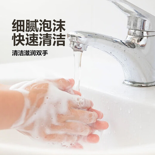 Aloe Vera Hand Sanitizer Fragrance Moisturizing Children's Press Bottle Household Family Pack Fragrance Aloe Vera Hand Sanitizer 2 Bottles (Affordable Pack)