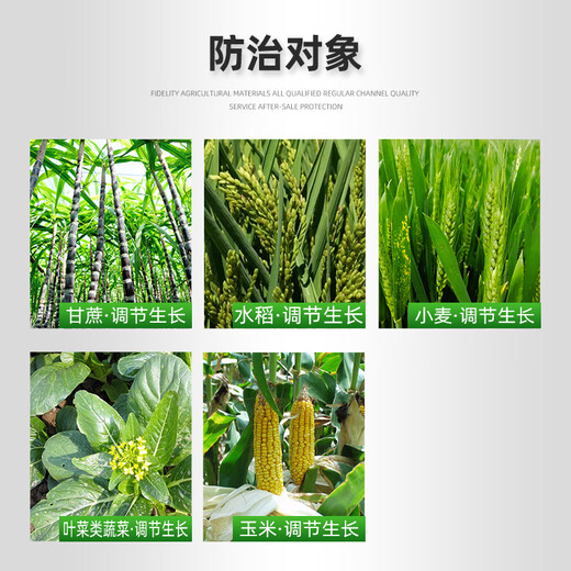 Yunda 120 Yunda 120 28 table high brassinolide leafy vegetables wheat corn plant growth regulator agricultural 100ml