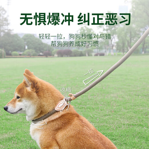 Gasco pet P chain size M dog leash dog leash collar small and medium-sized dogs dog out walking training dog belt