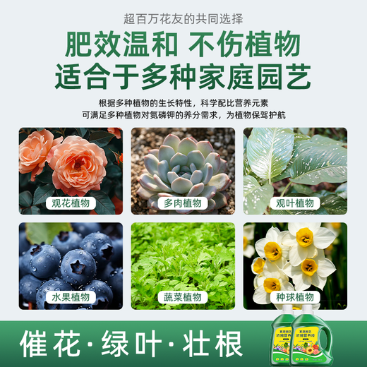 Plant nutrient solution, universal household potted money tree, rich bamboo and green dill, hydroponic flower and green plant vegetable fertilizer, nutrient solution 2500ml, one bottle worth 5 bottles