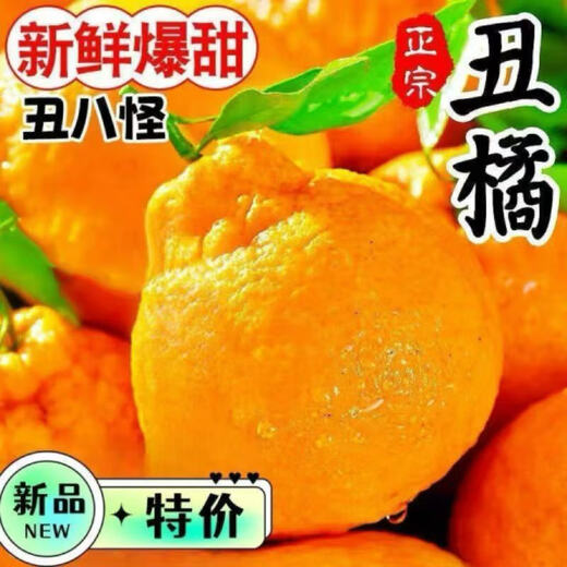 早熟新鲜丑橘应季新鲜水果酸甜多汁整箱包邮 5斤装