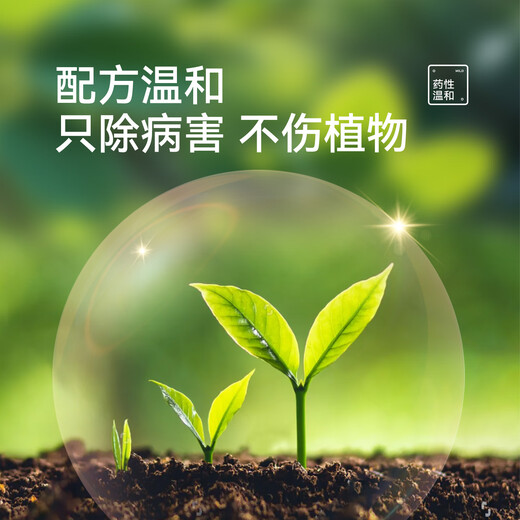 Stanley triadimefon fungicide, special for flower white spot and black spot, commonly used anthers for succulent rose flower diseases and insect pests, triadimefon 200ml, comes with graduated dropper