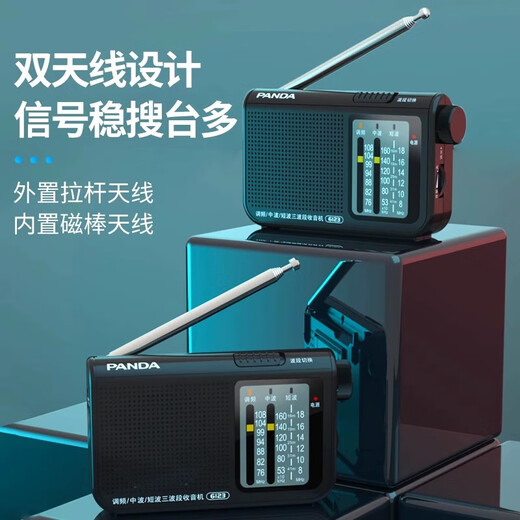 熊猫（panda）6123 老人收音机便携式袖珍迷你多全波段半导体指针式车载备用（黑）