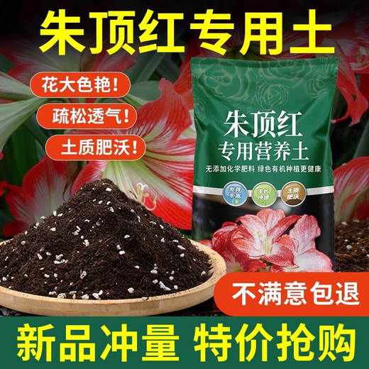 Amaryllis special soil bulb seed ball nutrient soil special fertilizer flower cultivation soil household organic soil Amaryllis special soil 10 liters