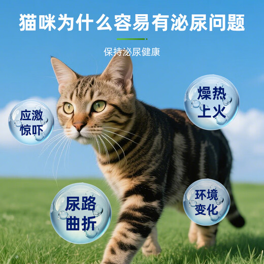 Pet handsome cat urinary tract prescription food cat cystitis urinary tract fluid dilution postoperative care full price nutritional formula staple food 1kg cat urinary food 1kg
