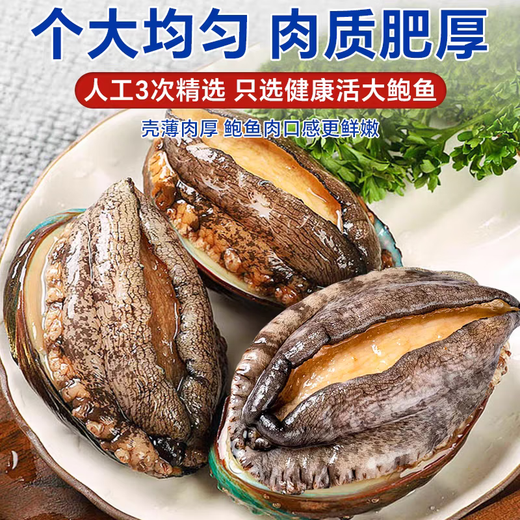 Fresh frozen abalone 500g fresh frozen abalone shelled abalone seafood aquatic non-ready-to-eat abalone pure meat shelled abalone 100g/bag*2